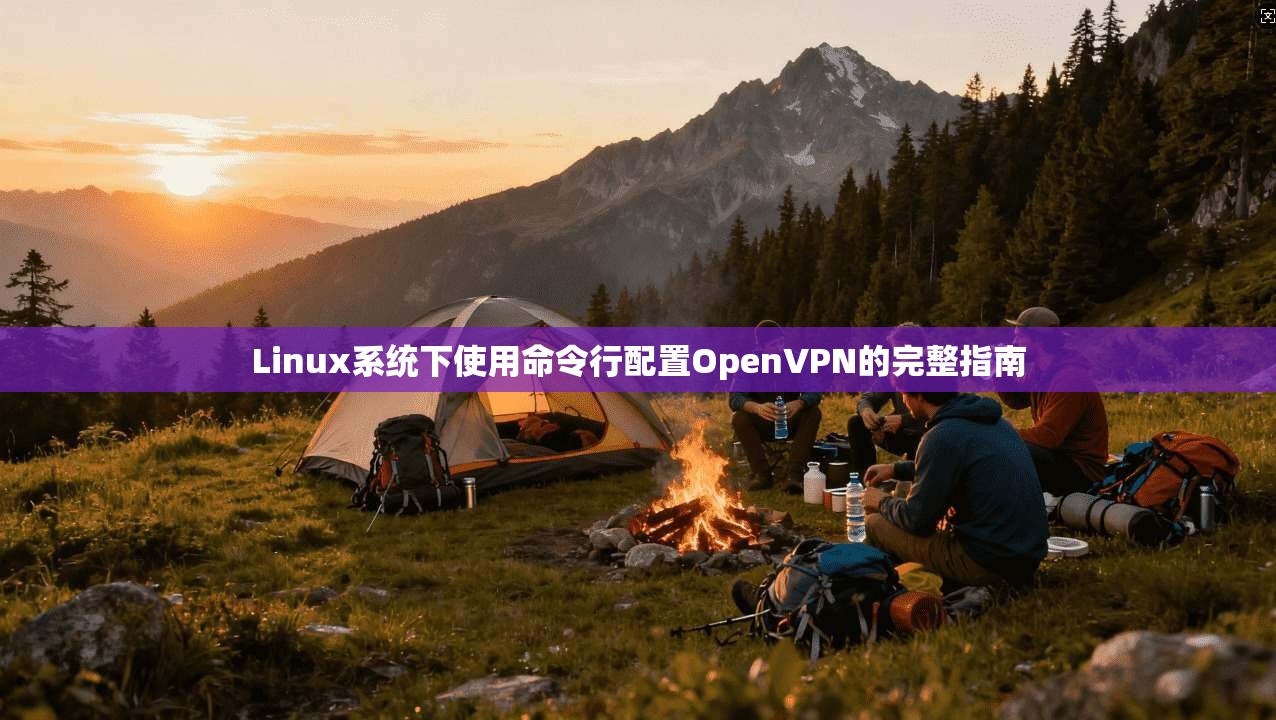 Linux系统下使用命令行配置OpenVPN的完整指南