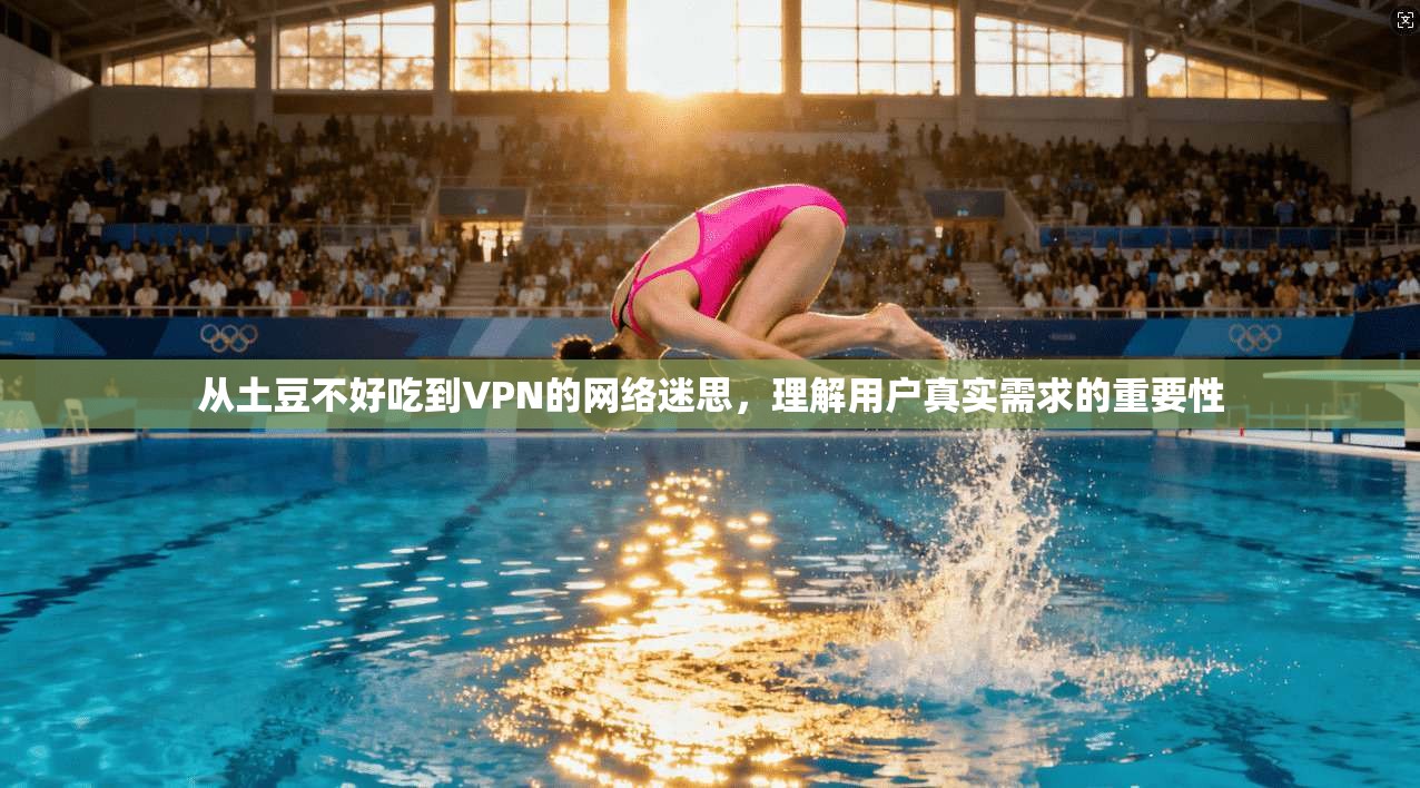 从土豆不好吃到VPN的网络迷思,理解用户真实需求的重要性