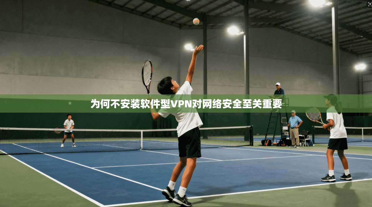 为何不安装软件型VPN对网络安全至关重要