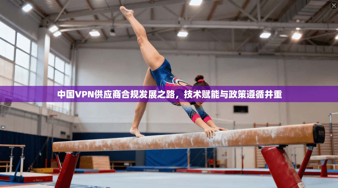 中国VPN供应商合规发展之路，技术赋能与政策遵循并重