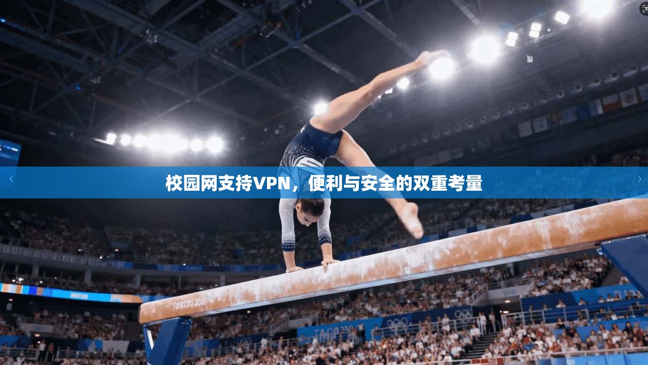校园网支持VPN,便利与安全的双重考量