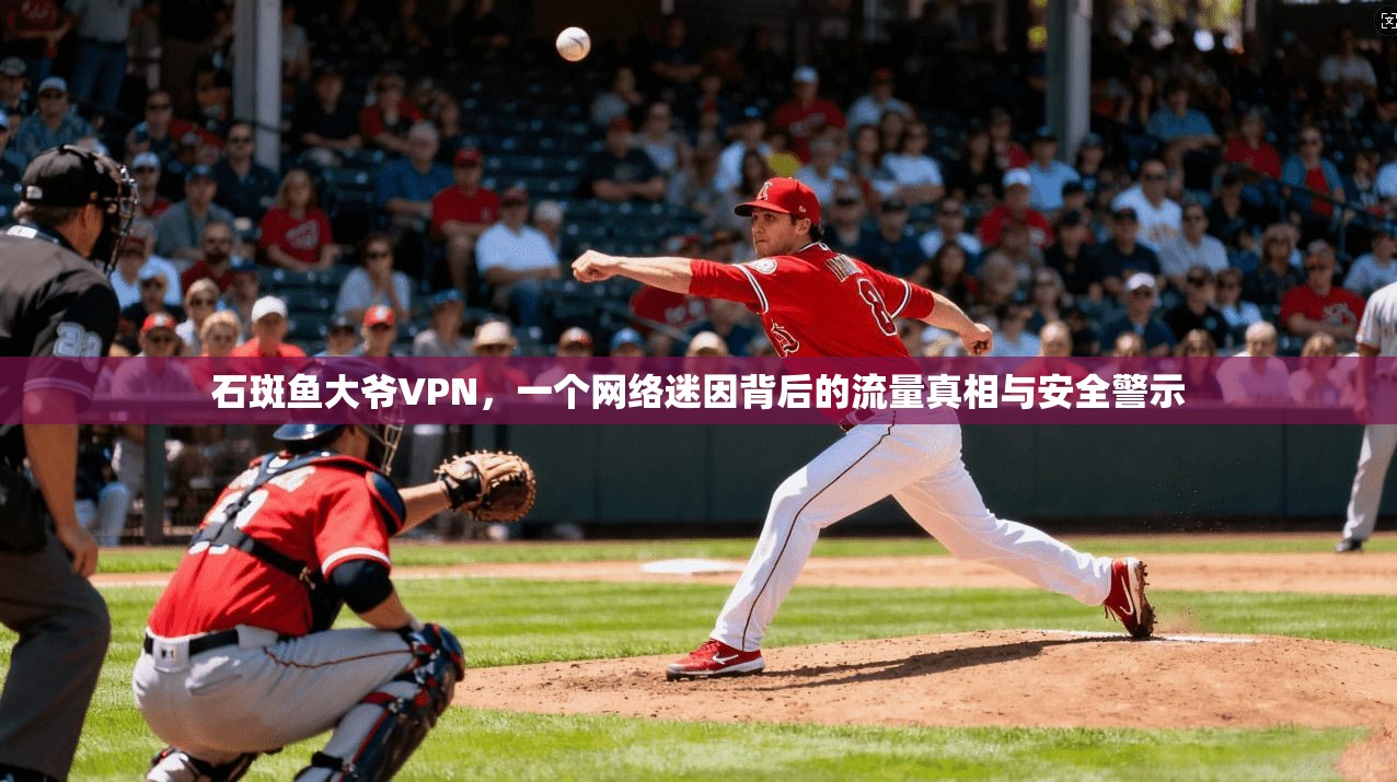 石斑鱼大爷VPN，一个网络迷因背后的流量真相与安全警示