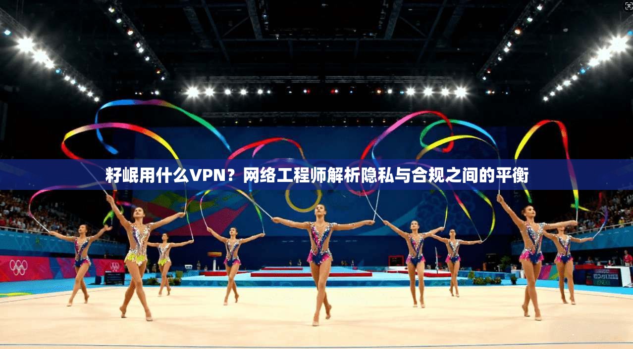 籽岷用什么VPN?网络工程师解析隐私与合规之间的平衡