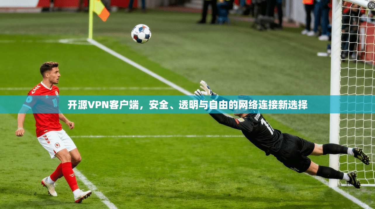 开源VPN客户端，安全、透明与自由的网络连接新选择