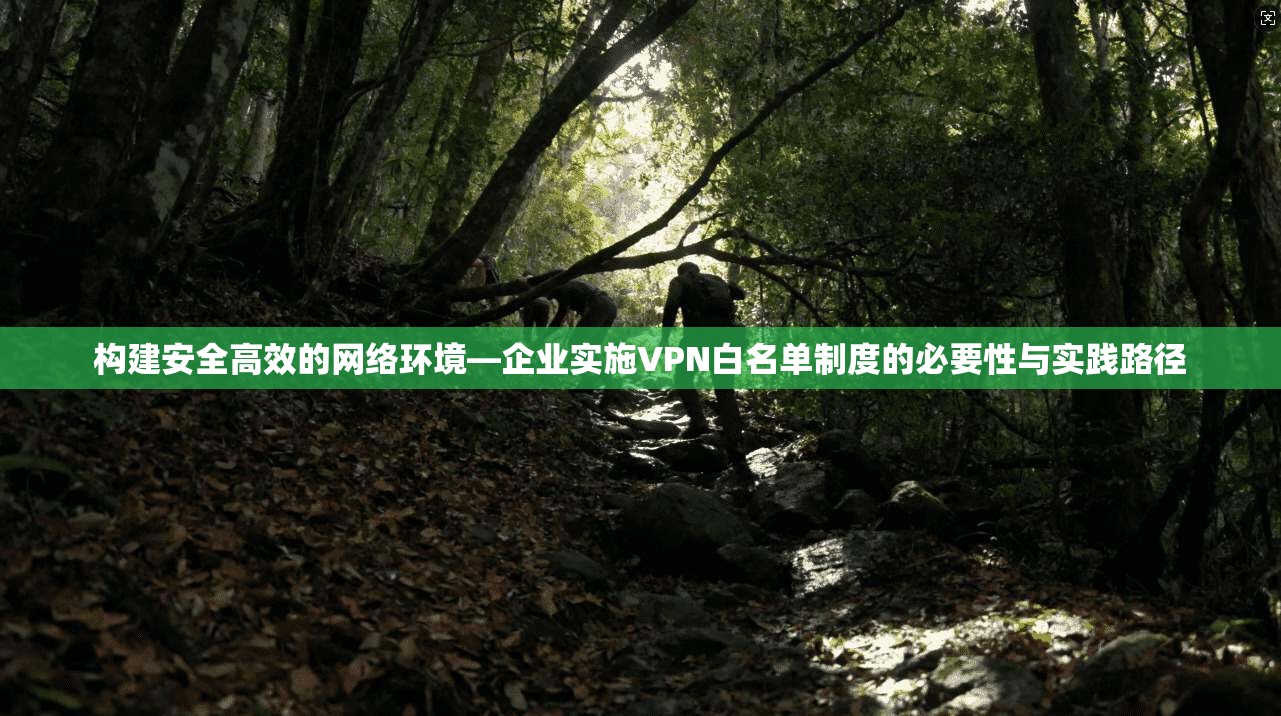构建安全高效的网络环境—企业实施VPN白名单制度的必要性与实践路径
