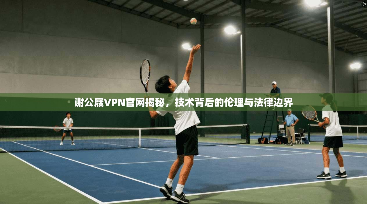 谢公屐VPN官网揭秘,技术背后的伦理与法律边界