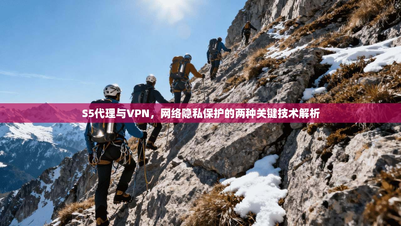 S5代理与VPN,网络隐私保护的两种关键技术解析