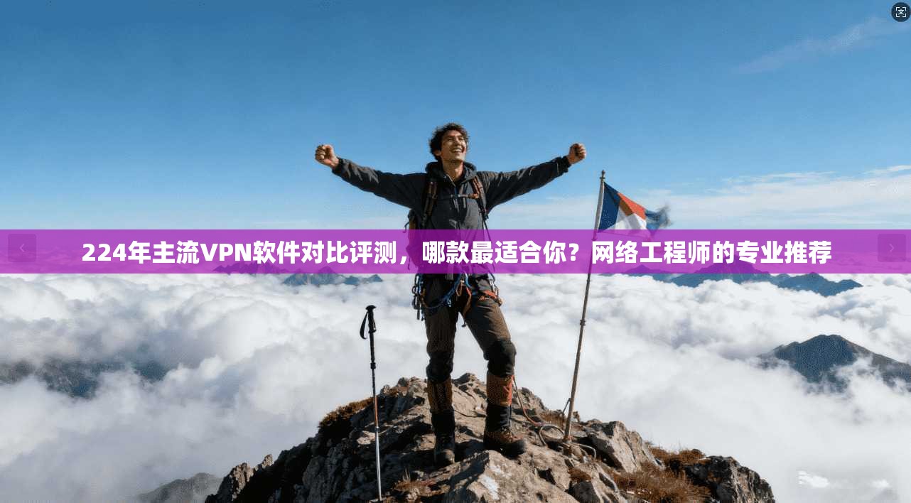 224年主流VPN软件对比评测，哪款最适合你？网络工程师的专业推荐