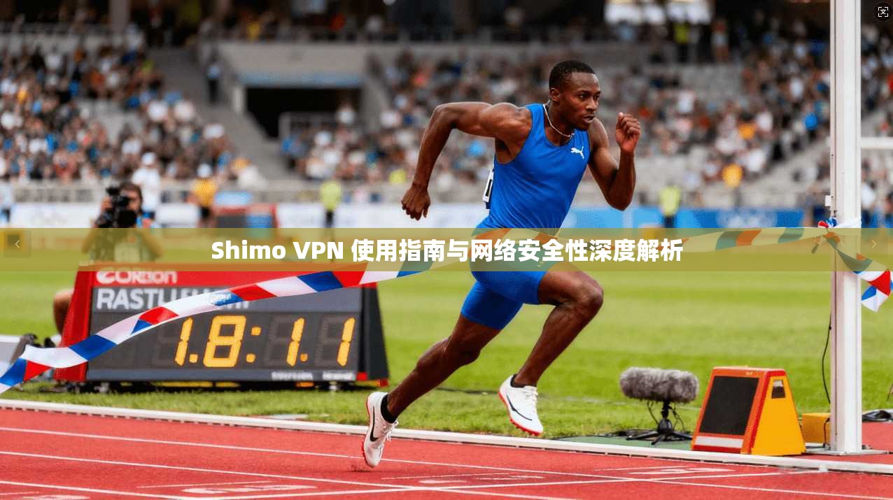 Shimo VPN 使用指南与网络安全性深度解析