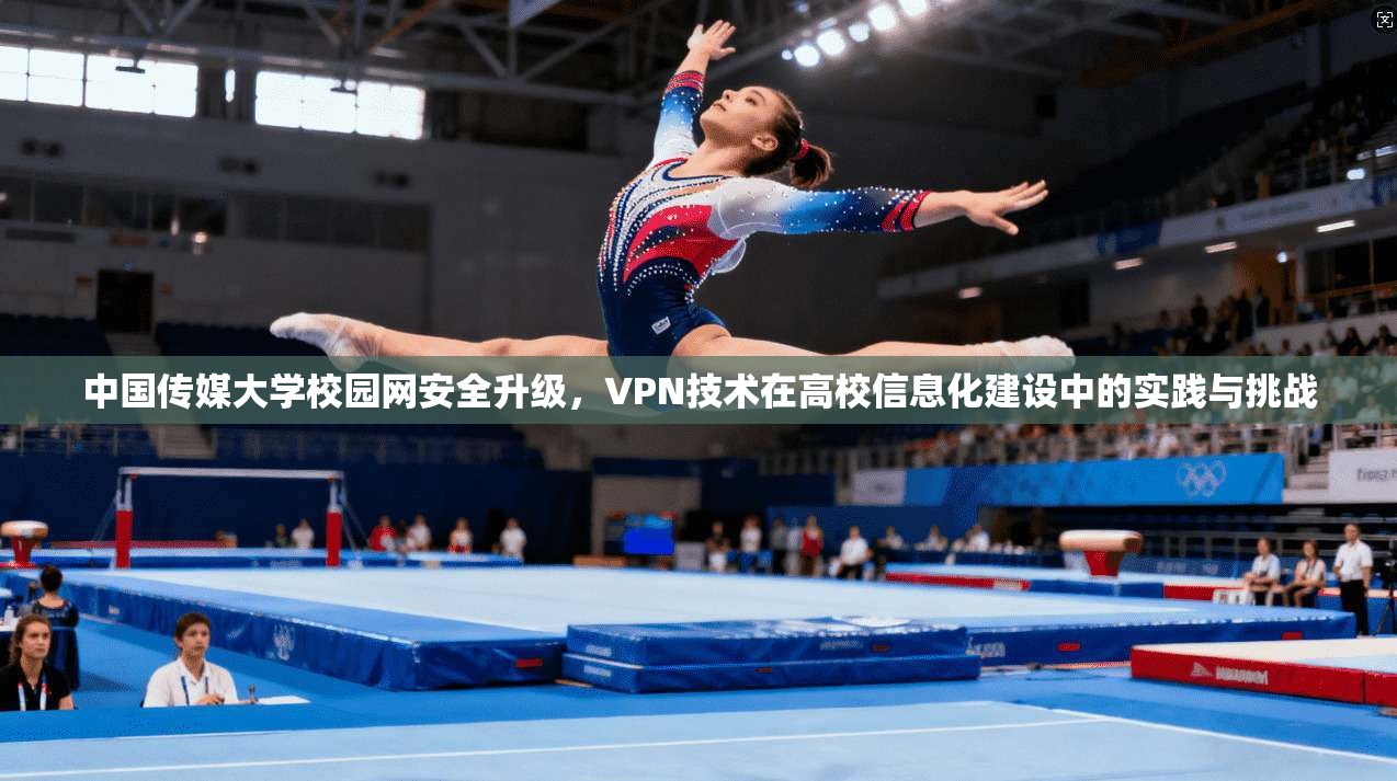 中国传媒大学校园网安全升级,VPN技术在高校信息化建设中的实践与挑战