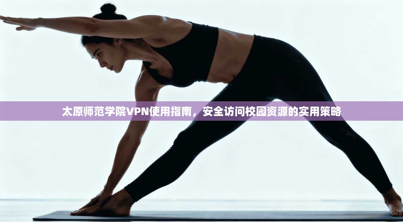 太原师范学院VPN使用指南,安全访问校园资源的实用策略