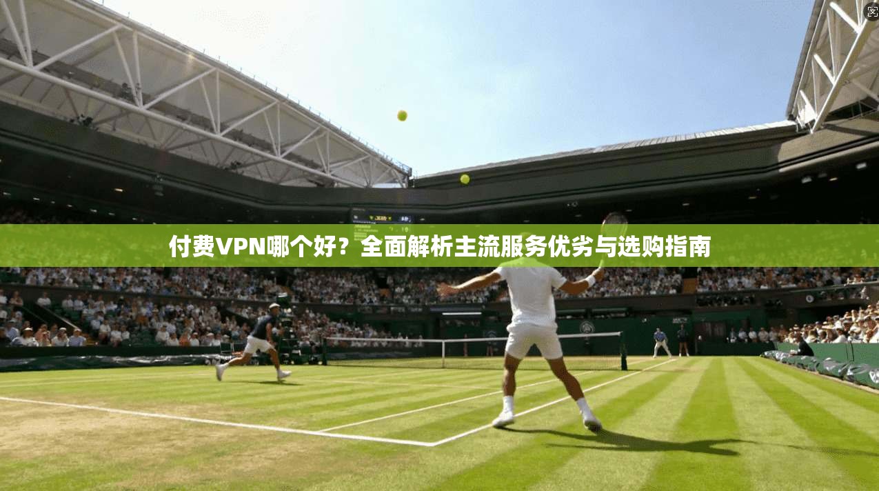 付费VPN哪个好？全面解析主流服务优劣与选购指南