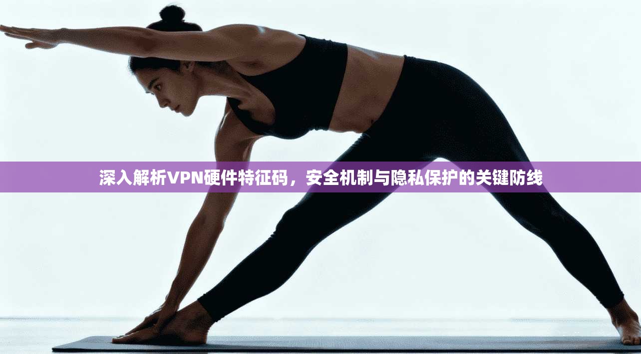 深入解析VPN硬件特征码，安全机制与隐私保护的关键防线