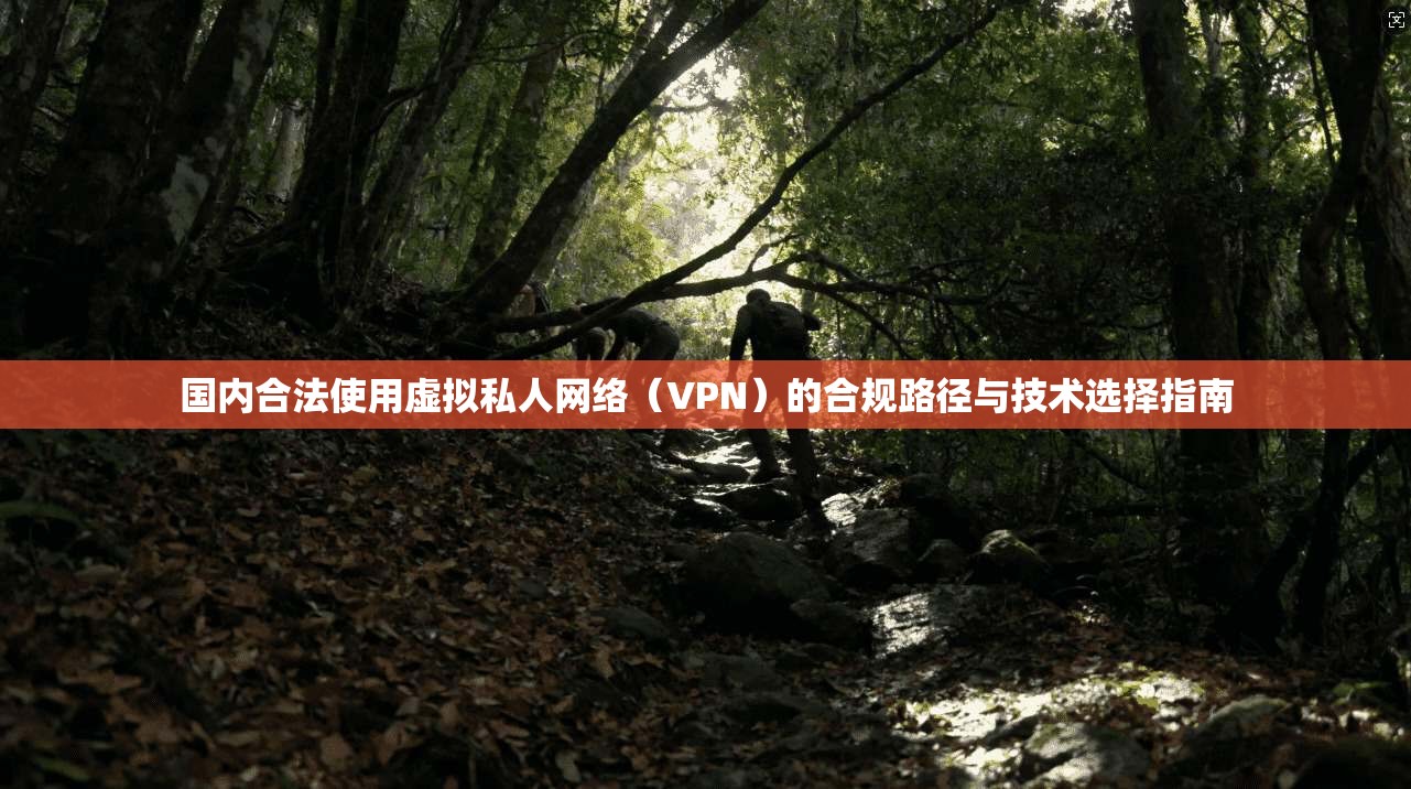 国内合法使用虚拟私人网络（VPN）的合规路径与技术选择指南