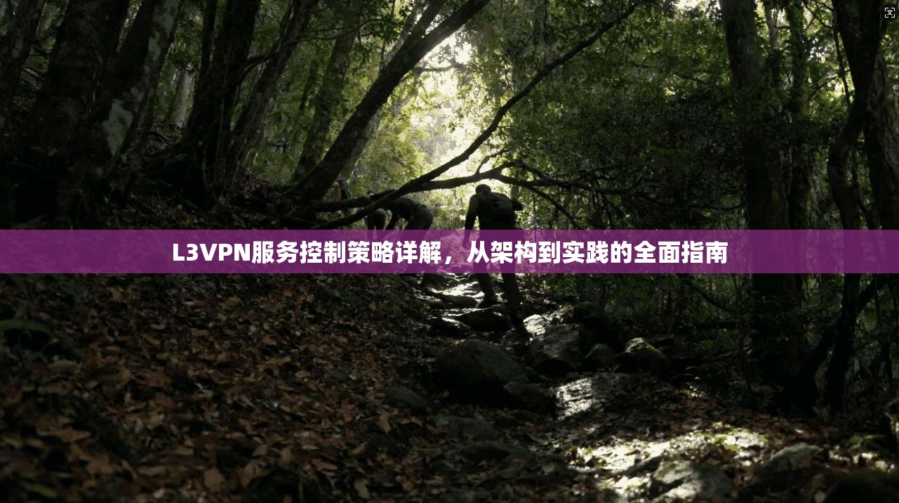 L3VPN服务控制策略详解，从架构到实践的全面指南