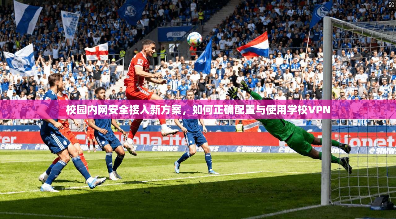 校园内网安全接入新方案，如何正确配置与使用学校VPN