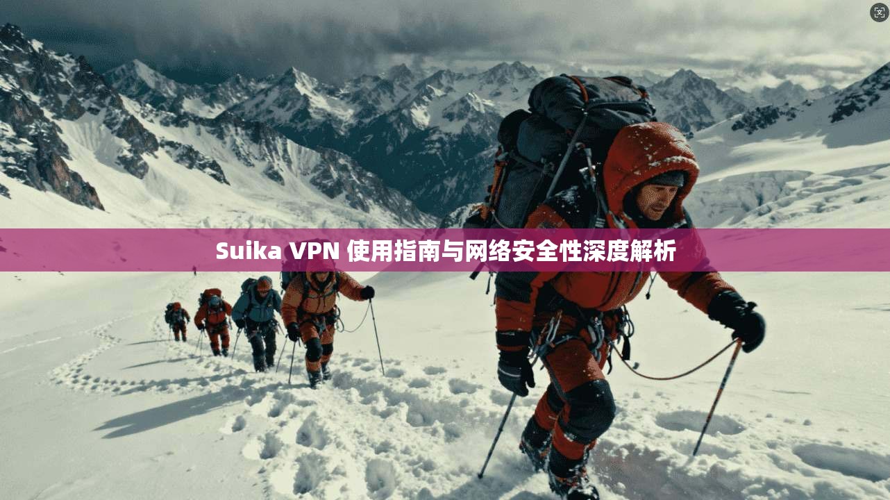Suika VPN 使用指南与网络安全性深度解析