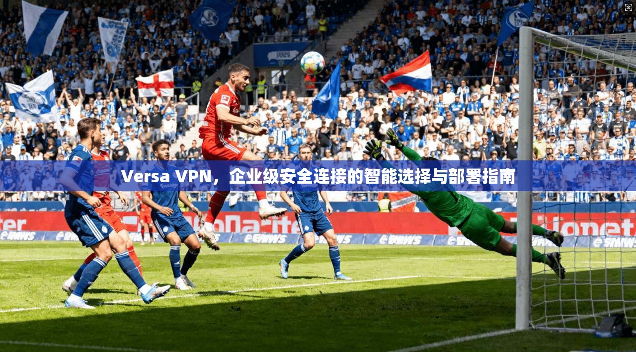 Versa VPN，企业级安全连接的智能选择与部署指南