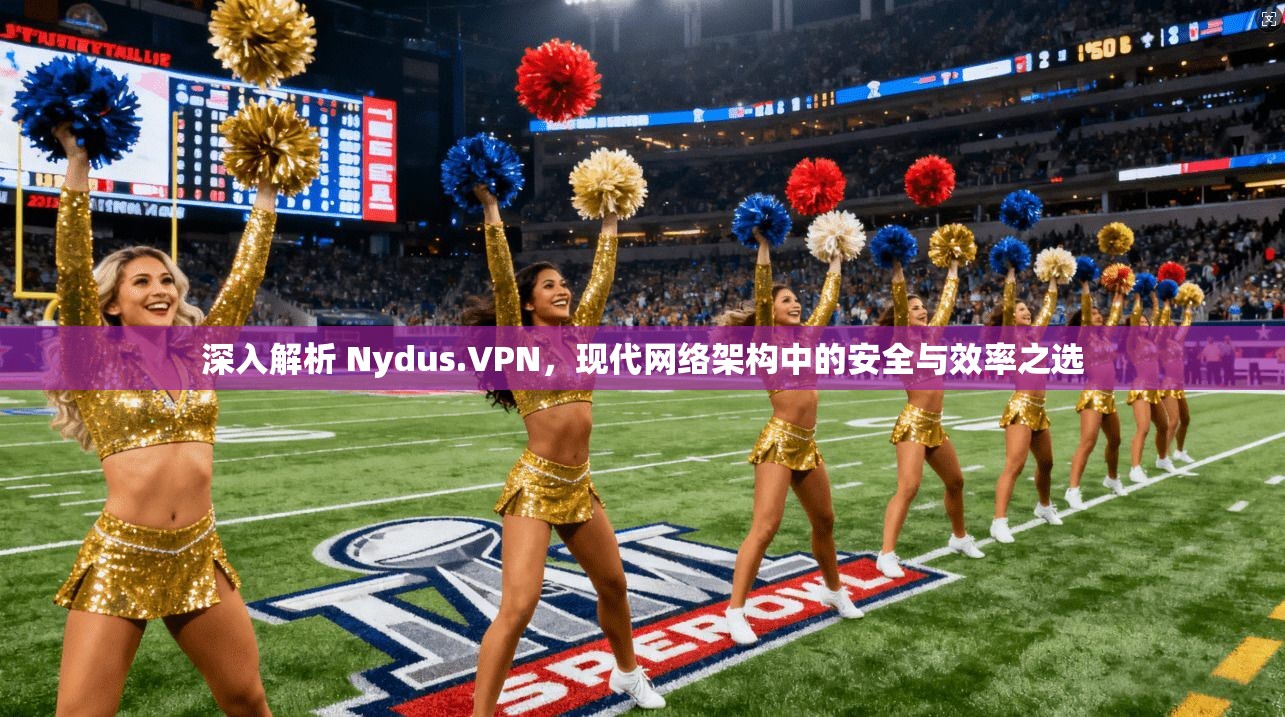 深入解析 Nydus.VPN，现代网络架构中的安全与效率之选