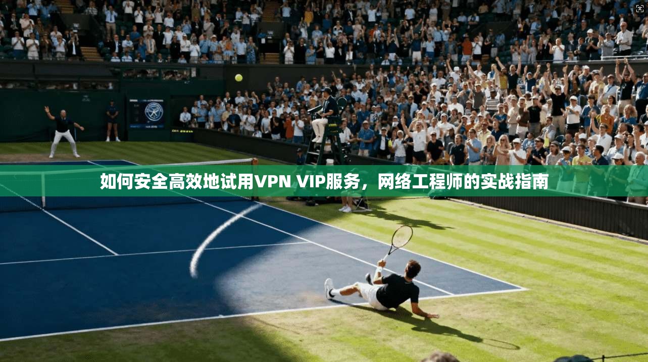 如何安全高效地试用VPN VIP服务，网络工程师的实战指南
