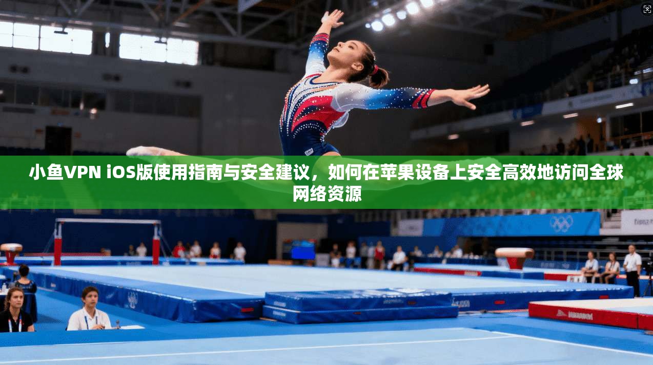 小鱼VPN iOS版使用指南与安全建议，如何在苹果设备上安全高效地访问全球网络资源