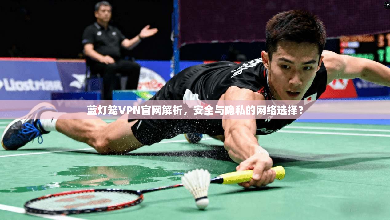 蓝灯笼VPN官网解析，安全与隐私的网络选择？