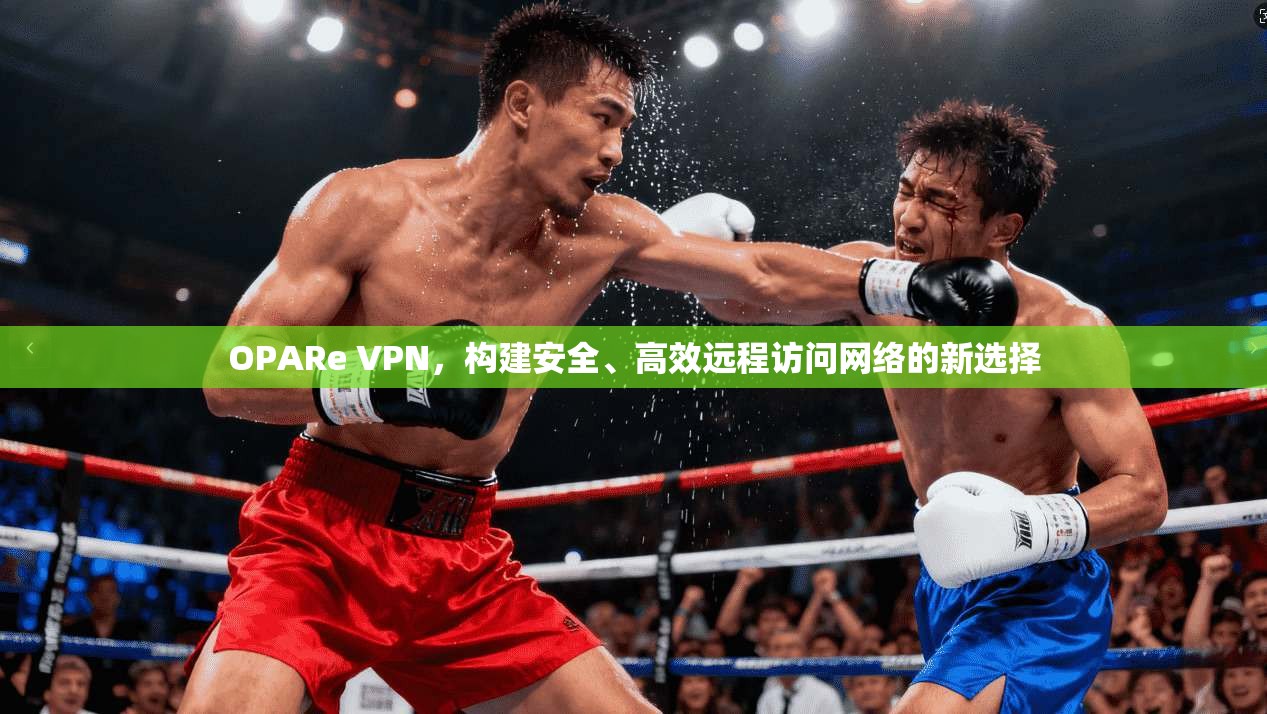 OPARe VPN，构建安全、高效远程访问网络的新选择