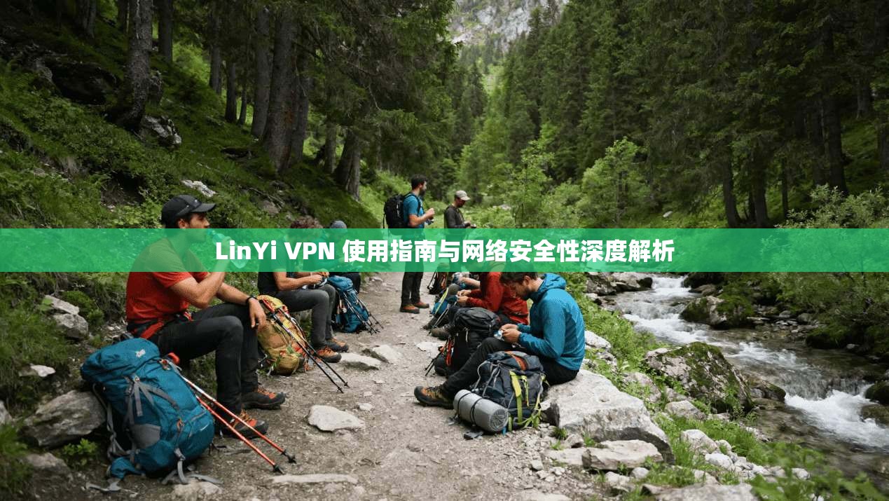 LinYi VPN 使用指南与网络安全性深度解析