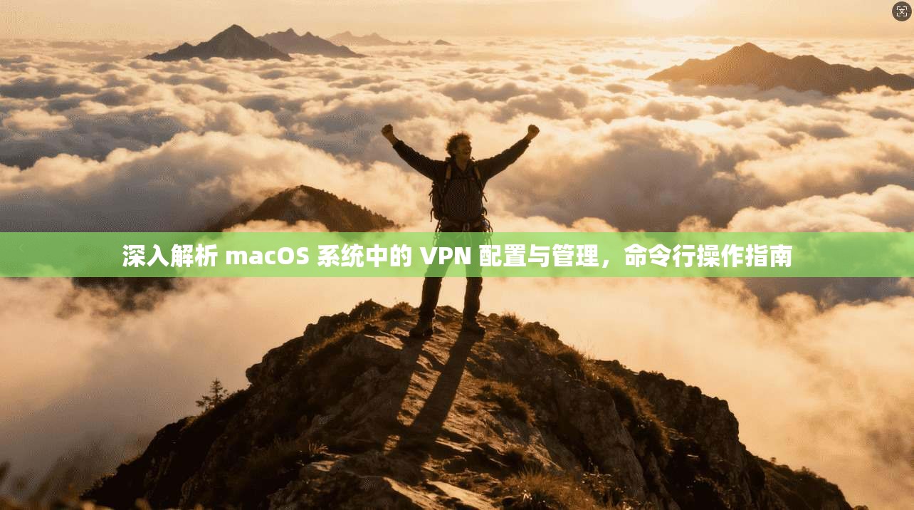 深入解析 macOS 系统中的 VPN 配置与管理，命令行操作指南