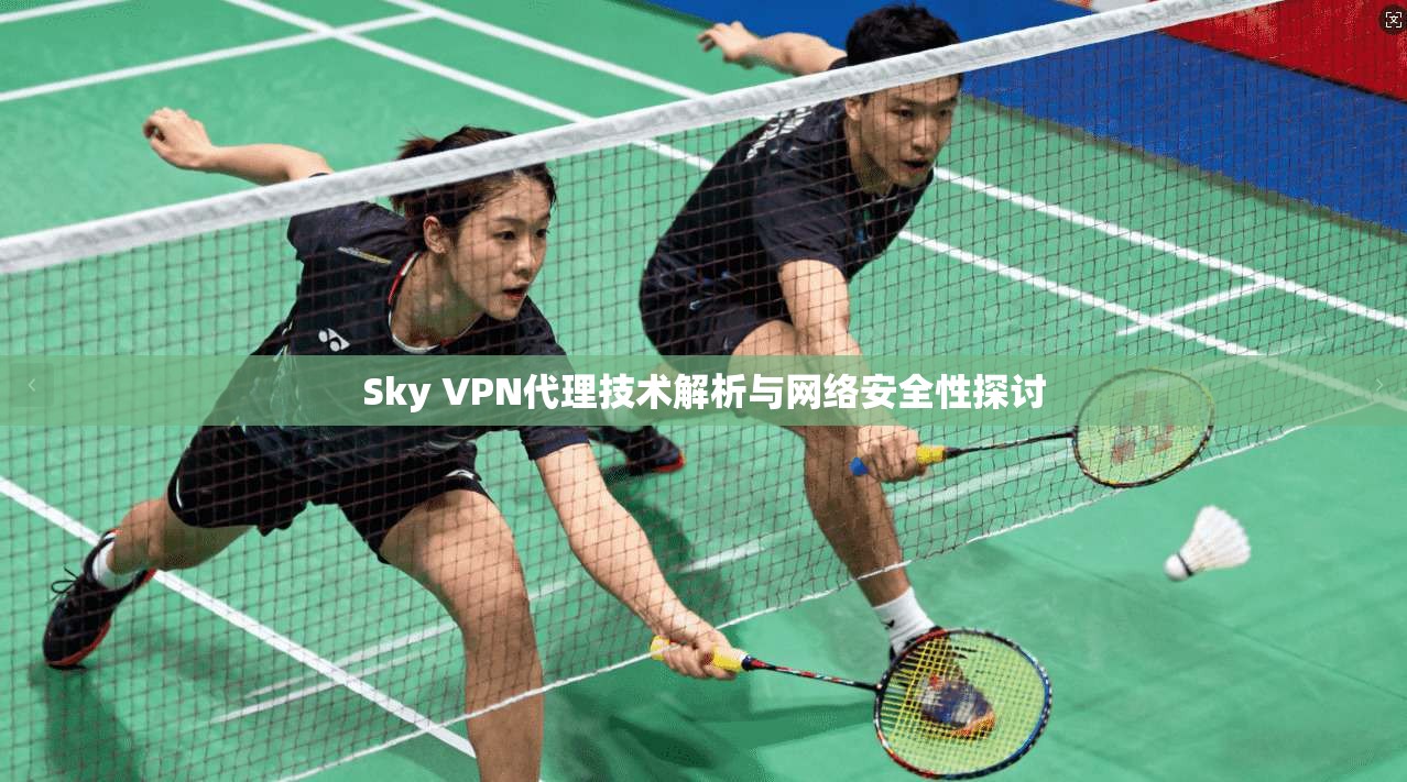 Sky VPN代理技术解析与网络安全性探讨