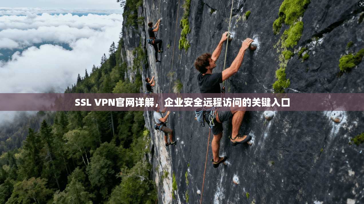 SSL VPN官网详解，企业安全远程访问的关键入口