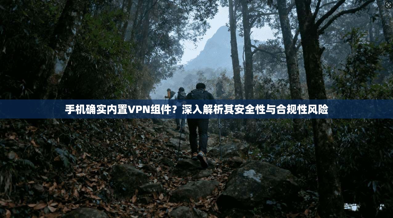 手机确实内置VPN组件？深入解析其安全性与合规性风险