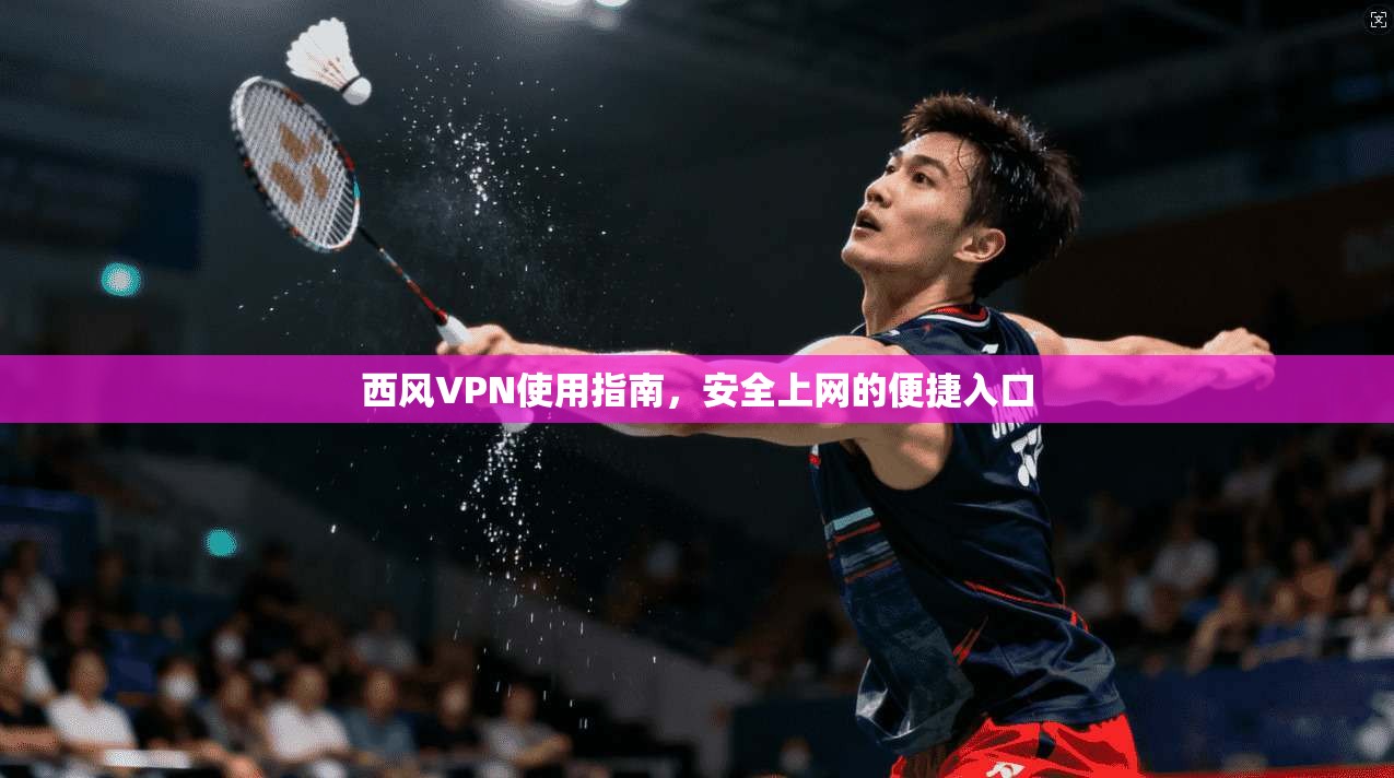 西风VPN使用指南，安全上网的便捷入口