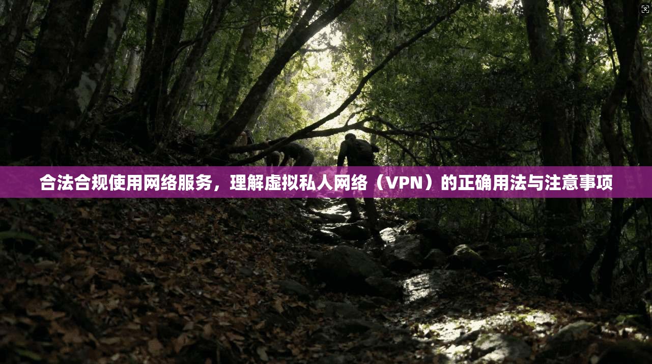 合法合规使用网络服务，理解虚拟私人网络（VPN）的正确用法与注意事项