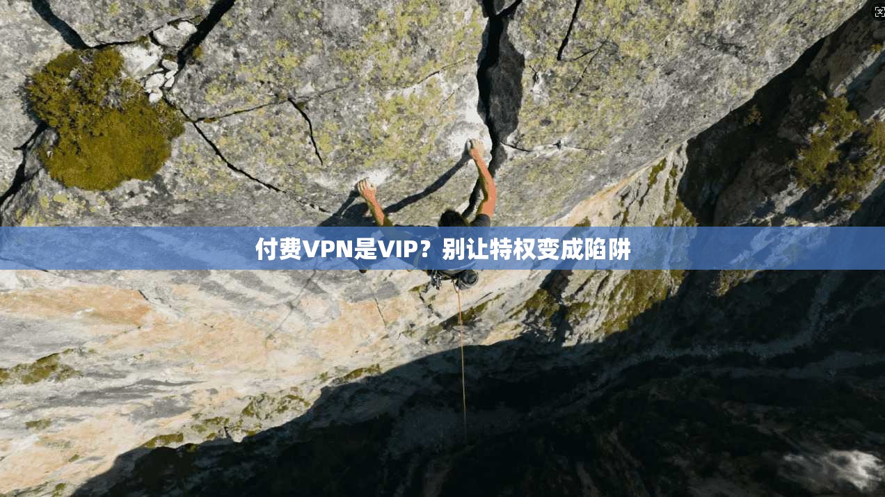 付费VPN是VIP？别让特权变成陷阱