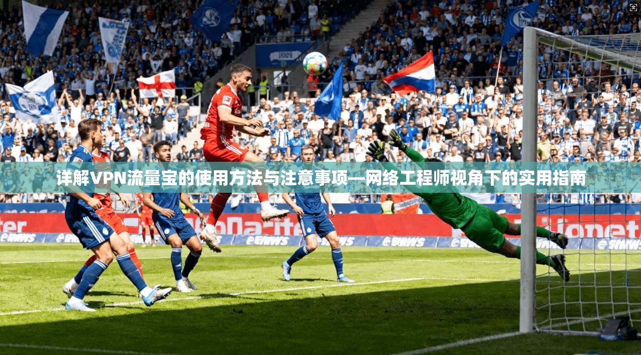 详解VPN流量宝的使用方法与注意事项—网络工程师视角下的实用指南