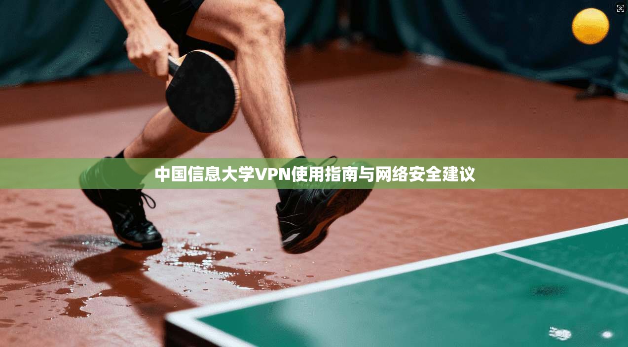 中国信息大学VPN使用指南与网络安全建议