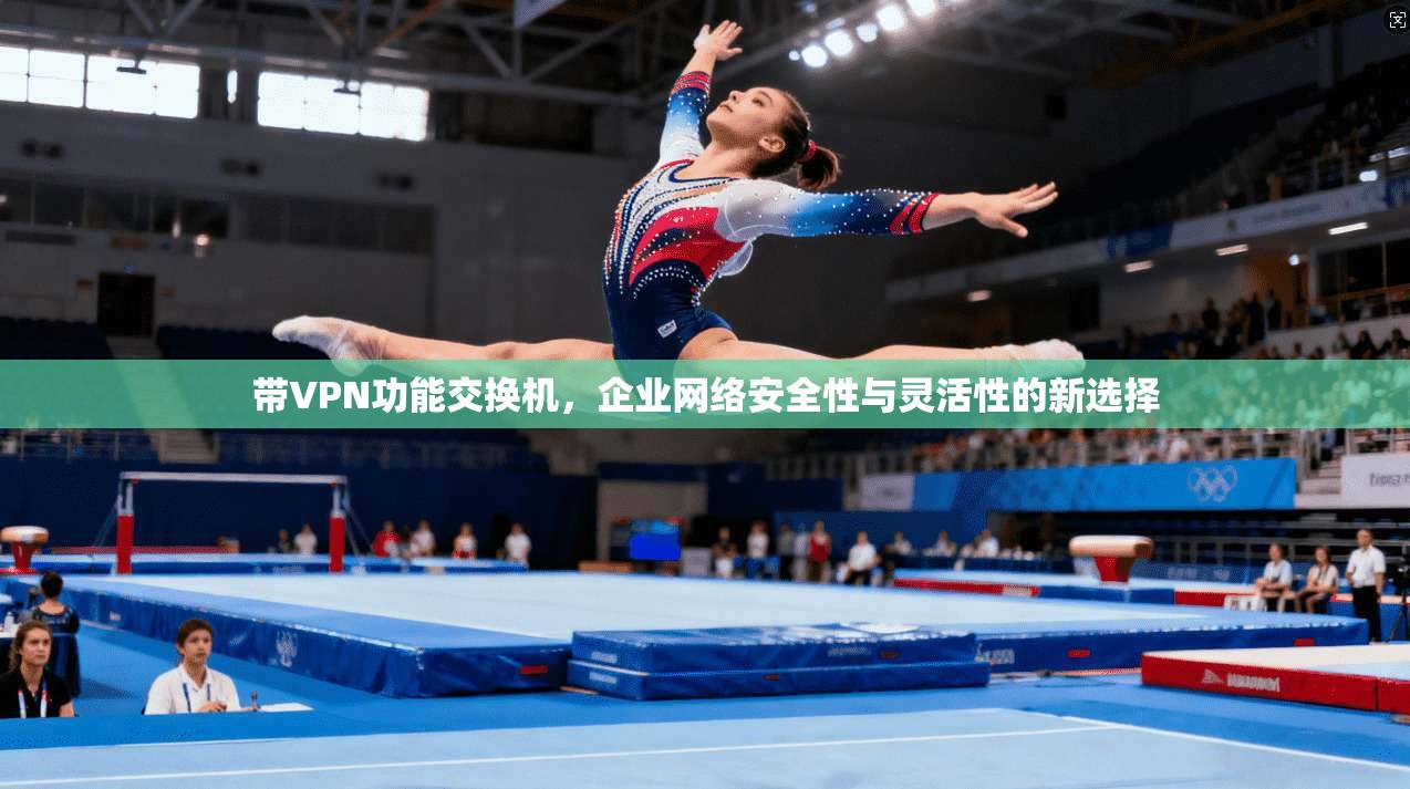 带VPN功能交换机，企业网络安全性与灵活性的新选择