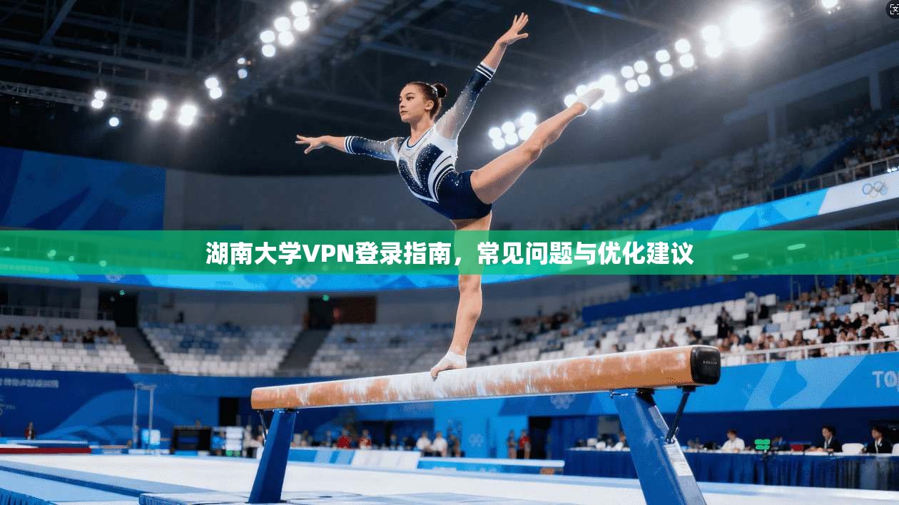 湖南大学VPN登录指南，常见问题与优化建议