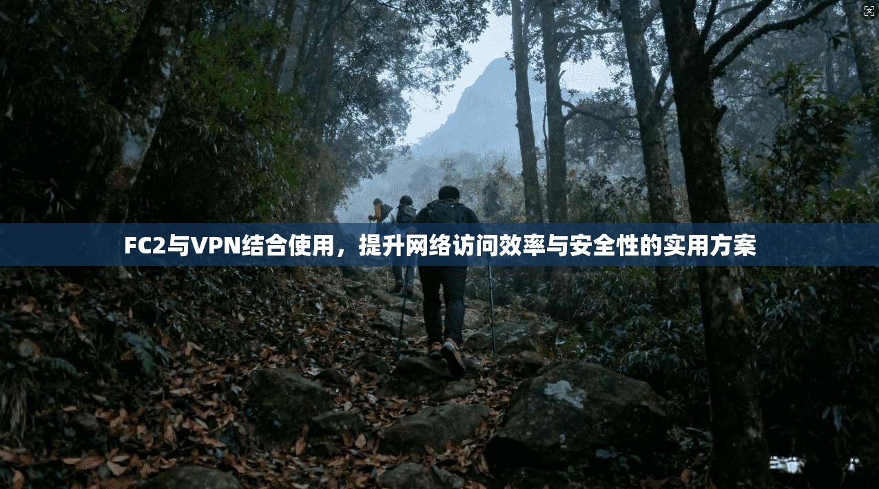 FC2与VPN结合使用，提升网络访问效率与安全性的实用方案