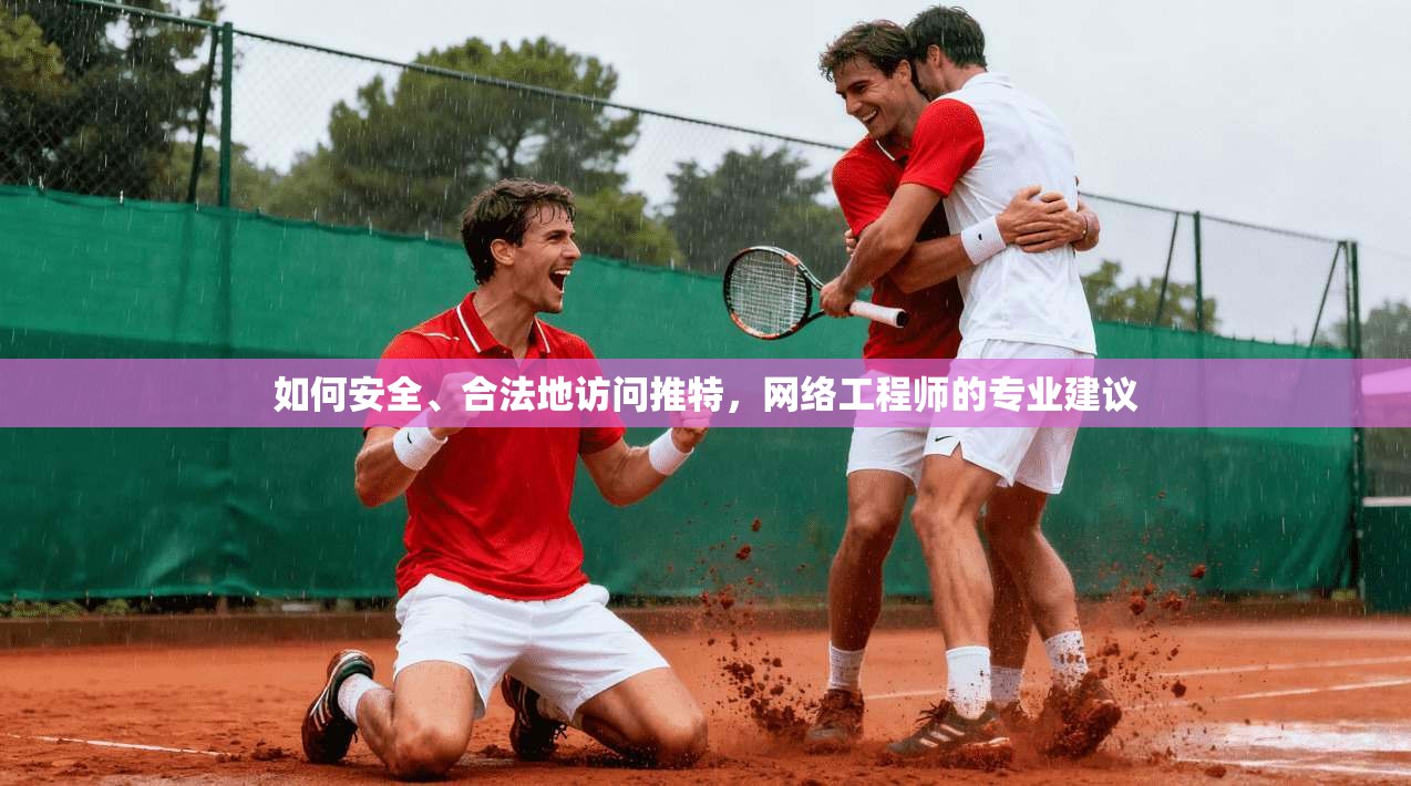 如何安全、合法地访问推特，网络工程师的专业建议