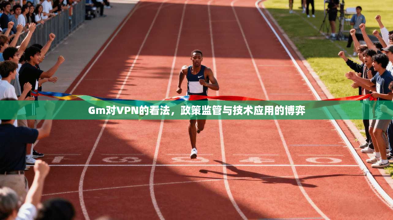 Gm对VPN的看法，政策监管与技术应用的博弈
