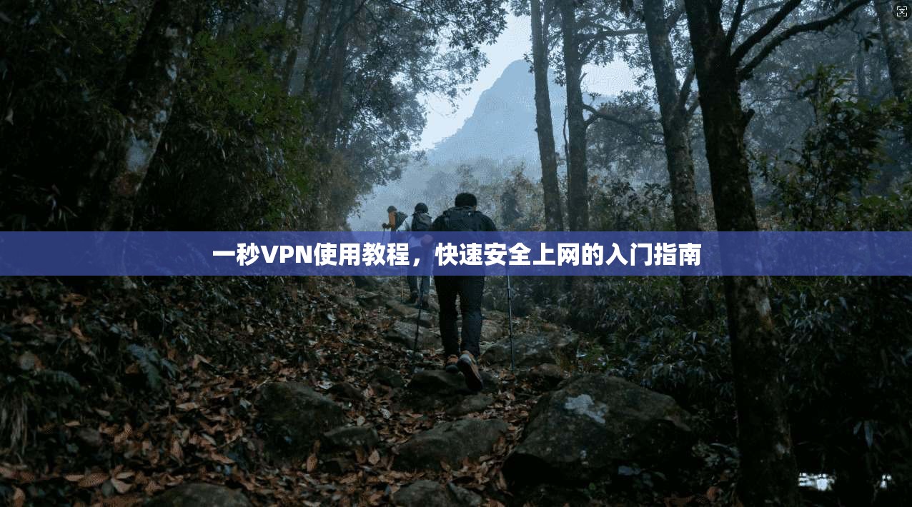 一秒VPN使用教程，快速安全上网的入门指南