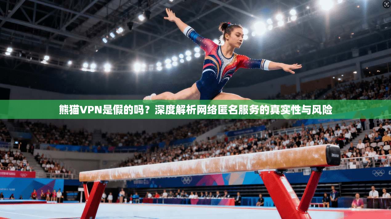 熊猫VPN是假的吗？深度解析网络匿名服务的真实性与风险