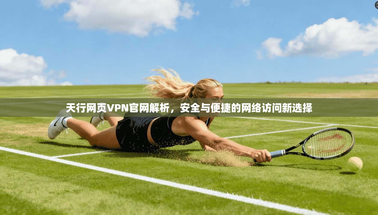 天行网页VPN官网解析，安全与便捷的网络访问新选择