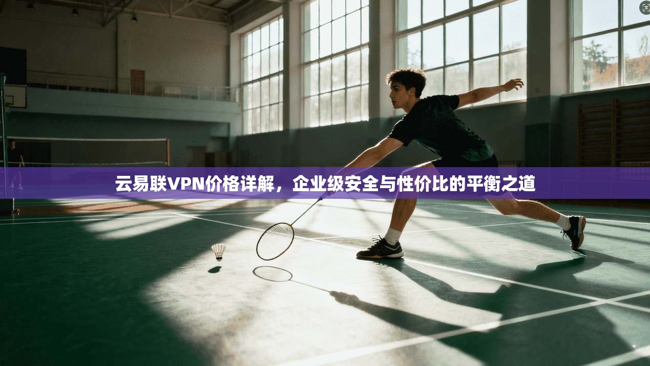 云易联VPN价格详解，企业级安全与性价比的平衡之道
