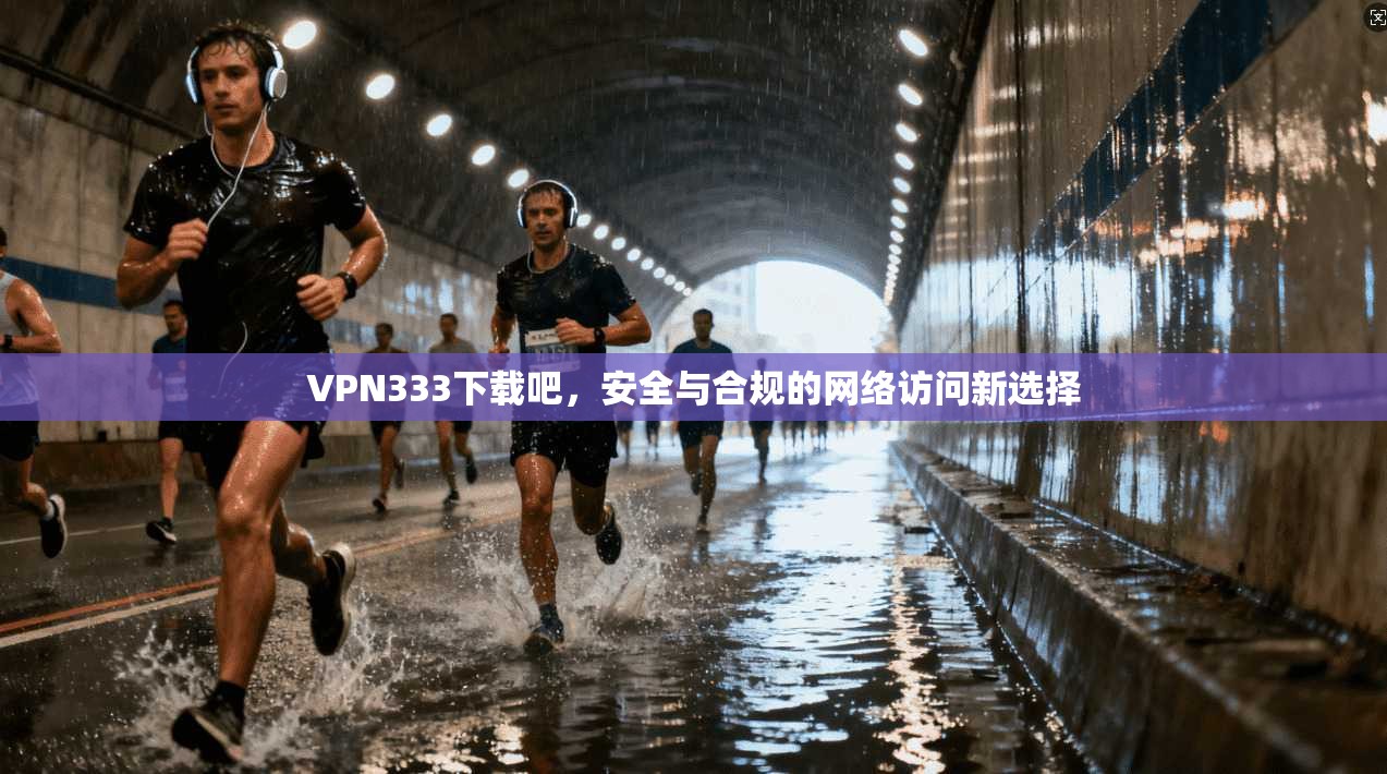 VPN333下载吧，安全与合规的网络访问新选择