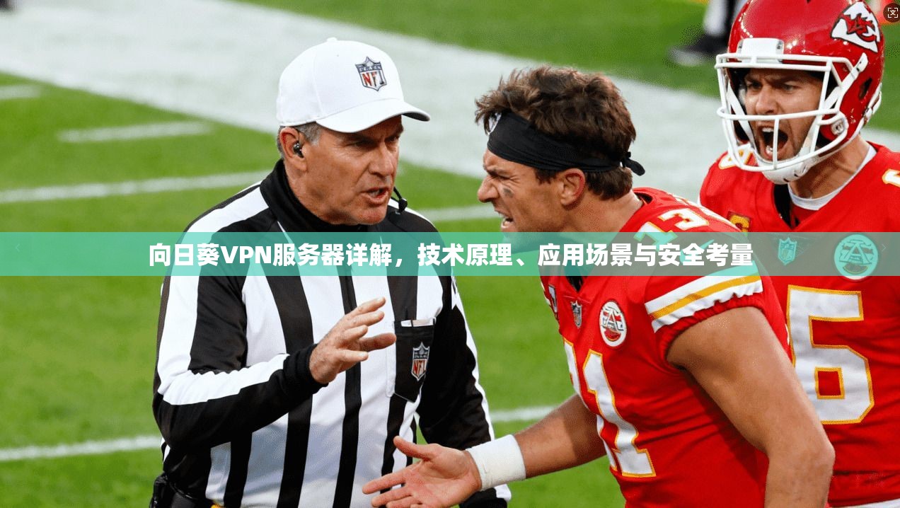向日葵VPN服务器详解，技术原理、应用场景与安全考量