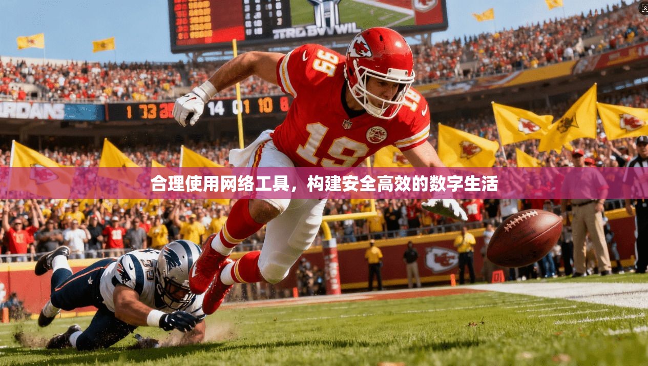 合理使用网络工具，构建安全高效的数字生活