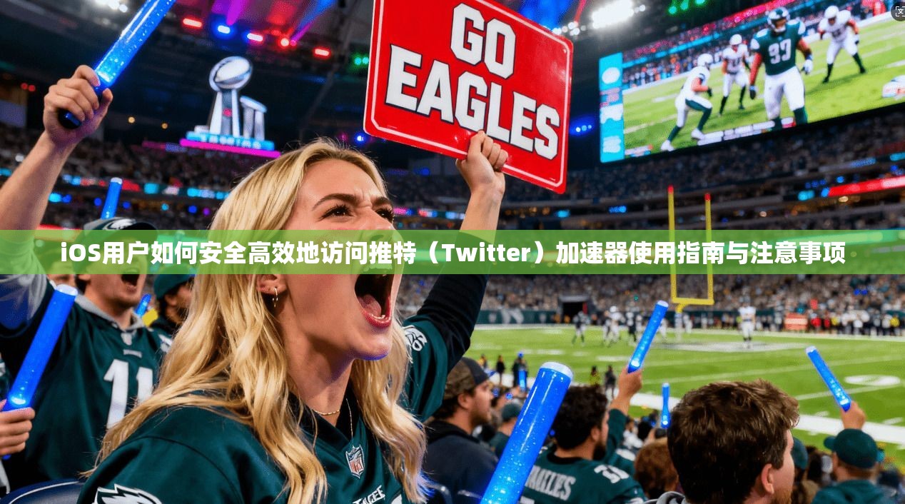 iOS用户如何安全高效地访问推特（Twitter）加速器使用指南与注意事项